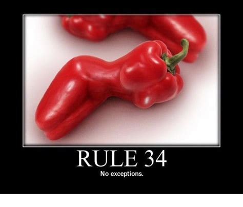 Lolzines The Ultimate Fun Place Rule 34 No Exceptions Rule 34
