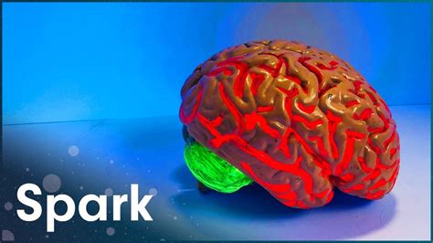 How Your Brain Is Changing The Brain Fitness Program Spark Youtube
