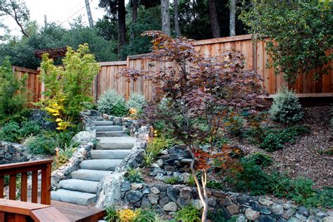 Japanese Maples Traditional Landscape San Francisco By Terra Ferma Landscapes Houzz