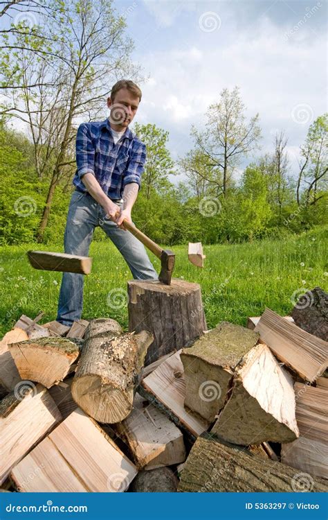 Cutting Wood Royalty Free Stock Photography Image 5363297