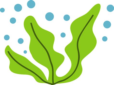 Cartoon Seaweed Transparent Background Png