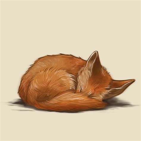 Let Sleeping Foxes Lie By Helenasia Fox Painting Fox Art Painting