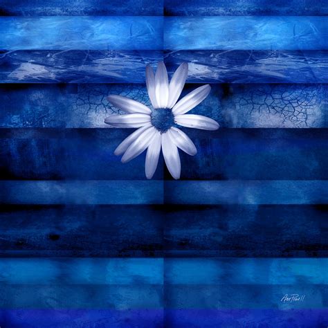 White Daisy On Blue Abstract Art Digital Art By Ann Powell