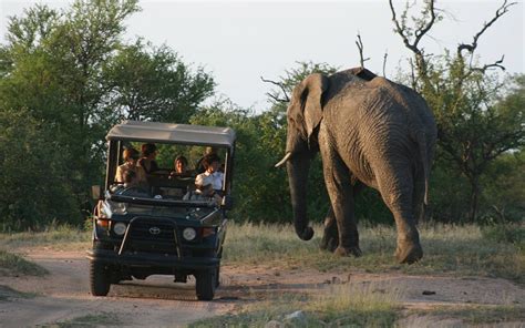 the 10 best things to do in hoedspruit 2021 with photos tripadvisor