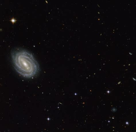 Hubble Views Spiral Galaxy Pgc 54493