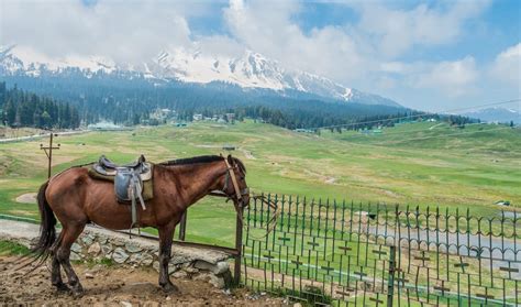 Book Beautiful Srinagar And Gulmarg With Sonmarg Trip Deluxe Tour