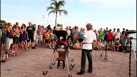 Crazy Cat Man Mallory Square Key West Florida Youtube