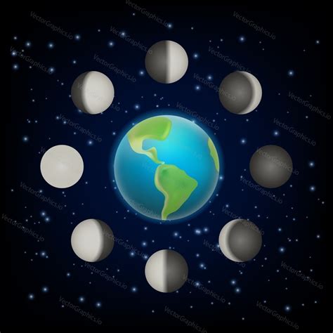 Moon Phases Vector Realistic Illustration — Vectorgraphicsio