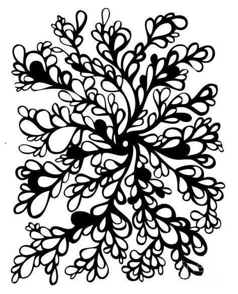 Flower Vine Drawings Clipart Best