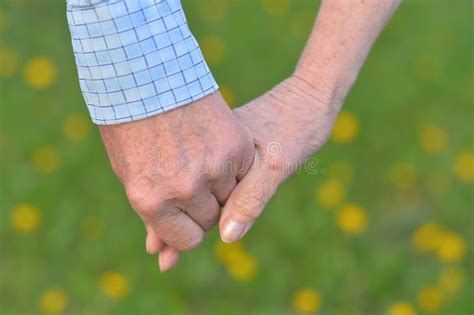 Senior Couple Holding Hands Stock Photo Image Of Holding Daytime