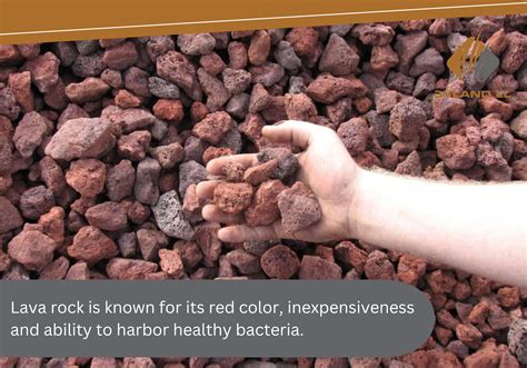 Lava Rock: What It Is, And How To Use It In Your Landscaping - Ebyland LLC