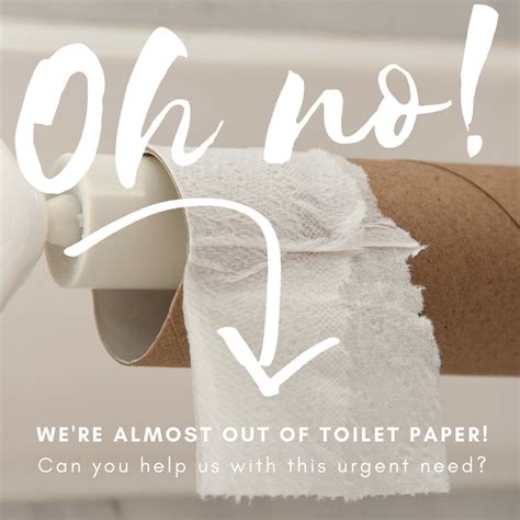 Urgent Need Toilet Paper Carpetners Place