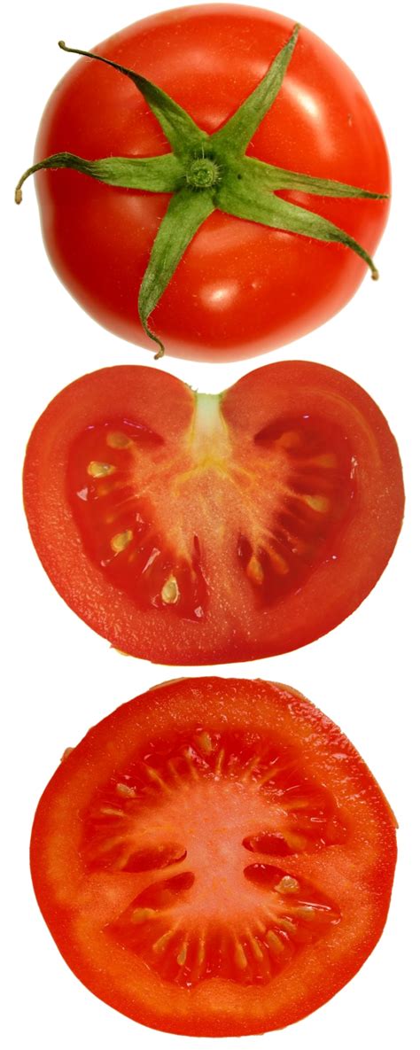 Tomato Png Transparent Images Pictures Photos Png Arts