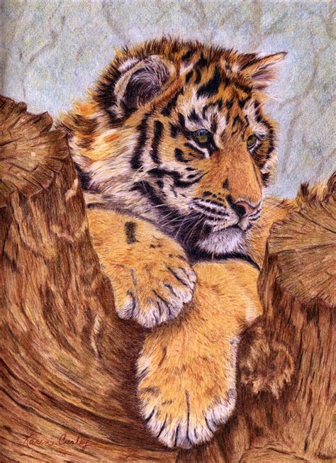 Karen Curley Colored Pencil Art Tiger Cub