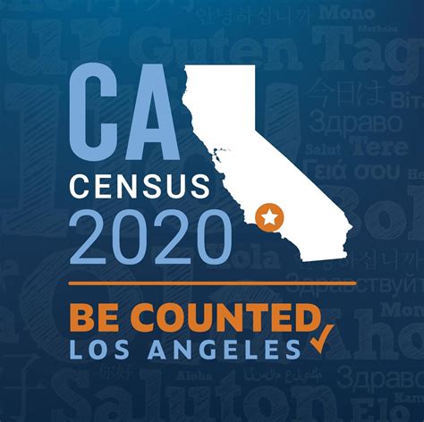 why the census is important because the information on the form is used by decision makers to