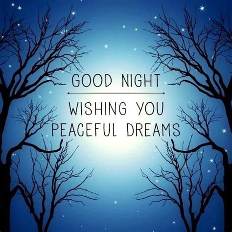 Good Night Wishing You Peaceful Dreams In 2020 Good Night Prayer