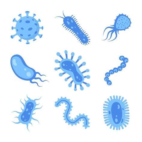 Different Bacteria Pathogenic Microorganisms Set Bacteria And Germs