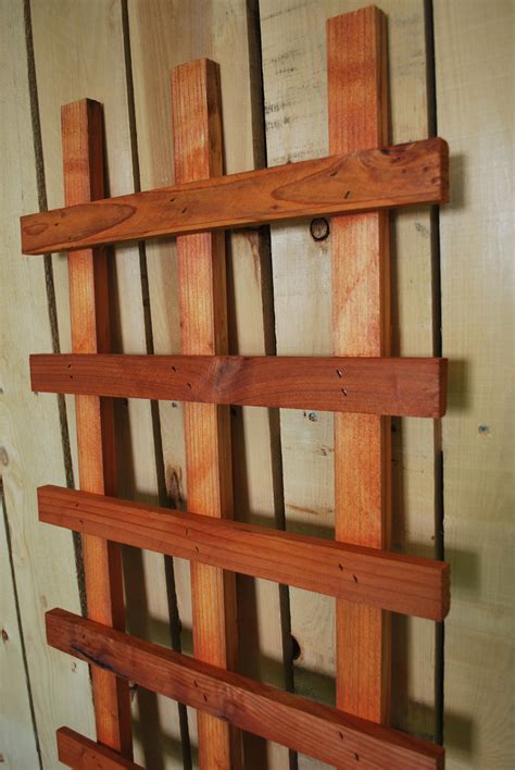 Spectre Ladder Trellis — The Redwood Store