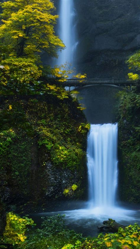 Multnomah Falls Backiee