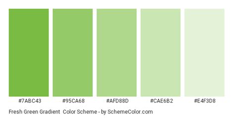 Fresh Green Gradient Color Scheme Green