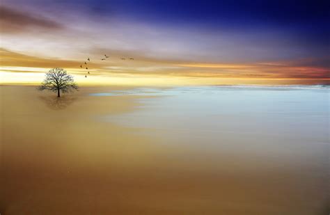 Wallpaper Sunlight Landscape Photoshop Birds Sunset Sea Water
