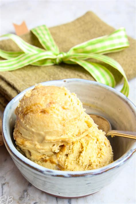 Spicy Ginger Swirl Ice Cream Gingerbread Ice Cream Paleo Aip Keto