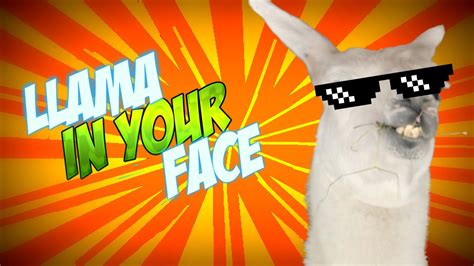 Esta Llama Esta Crazy Llama In Your Face Juego Indie Youtube
