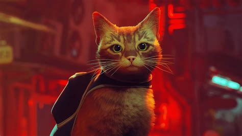 The Internet Is In Love With ‘stray The Game Where You Play As A Cat