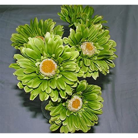 Maybe you would like to learn more about one of these? Green Artificial Flowers: Amazon.co.uk