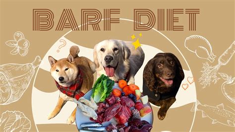 Basically, raw ingredients are very popular for dog seizures because most dog owners are using a raw diet to lessen the occurrence of dog seizures. Dog Reviews BARF Raw Food Diet - YouTube