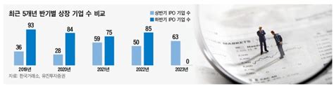 하반기 대형 Ipo 뭐가 있나 대한경제