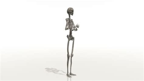 5469 Skeleton Animation Videos Royalty Free Stock Skeleton Animation