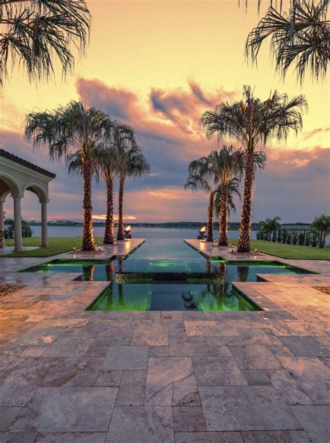 20 Beautiful Backyard Palm Tree Designs