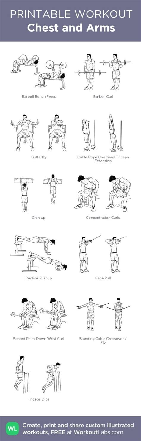 Chest And Arms My Custom Printable Workout By Workoutlabs