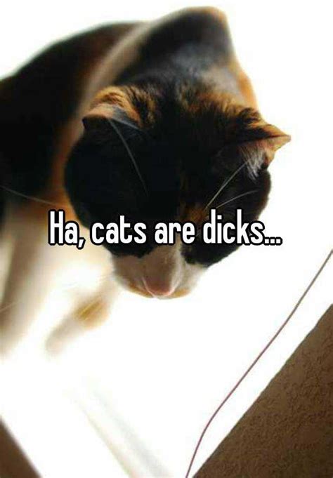 Ha Cats Are Dicks