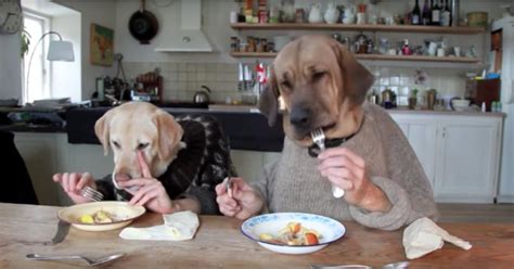 Dogs Eating With Human Hands Popsugar Pets