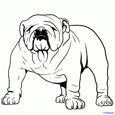 I will draw a bulldog hope you enjoy it.subscribe for new videos. How To Draw A Bulldog, English Bulldog, Step by Step, Pets ...