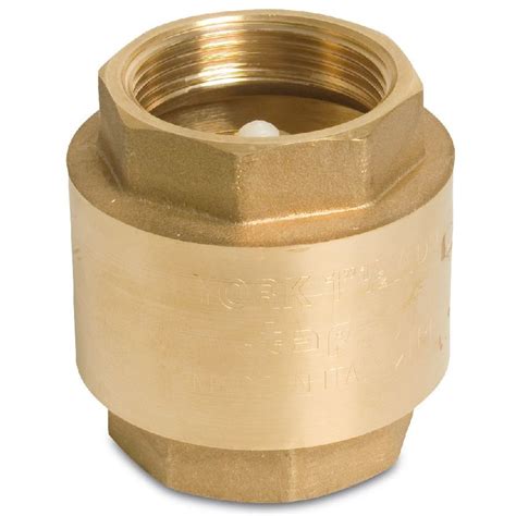 10 Bsp Brass Non Return Spring Check Valve Code Irr Bscv100 Rigby