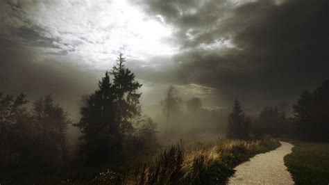 papel de parede 1920x1080 px nuvens sombrio luz do dia floresta panorama névoa natureza