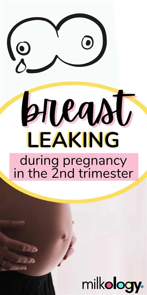 Help My Breasts Are Leaking During Pregnancy 2nd Trimester — Milkology®