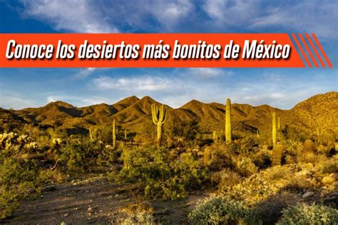 Conoce Los Desiertos Más Bonitos De México 511 Tactical Store