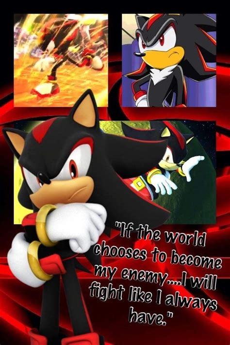 Sonic the hedgehog quotes from the 2006 video game. Sonic pictures, quotes and funny | Sonic the Hedgehog! Amino
