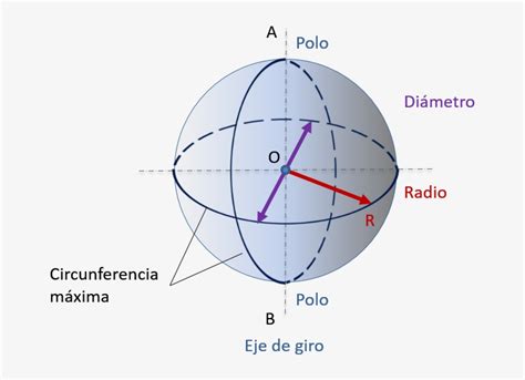 Área De La Esfera Elementos De La Esfera Transparent Png 700x554