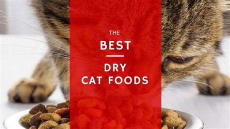 Some of the popular cat dry food brands include blue buffalo wilderness, purina cat chow dry cat food, meow mix, and iams proactive health as. 5 Best Dry Cat Food Reviews 2020 (Only the best brands)