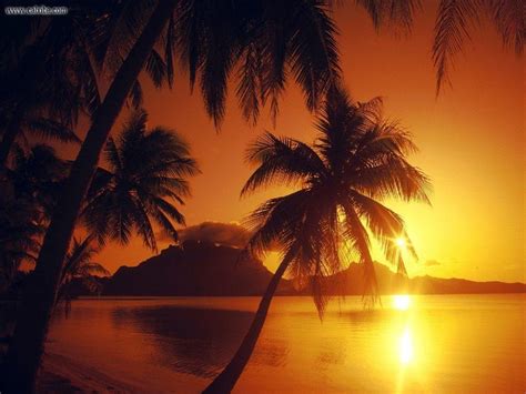 Bora Bora Sunset Wallpapers Top Free Bora Bora Sunset Backgrounds