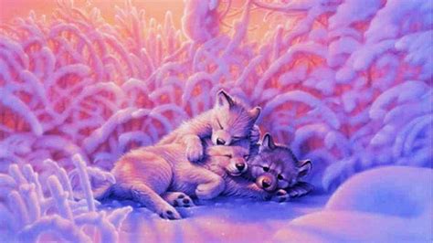 Cute Wolfs Wallpapers Wallpaper Cave