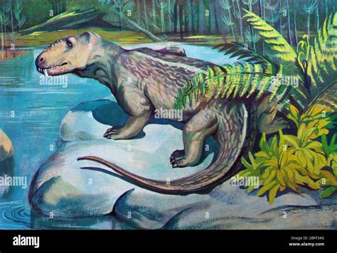 Doliosauriscus Ancient Reptile Dinosaur Prehistoric Animal Stock