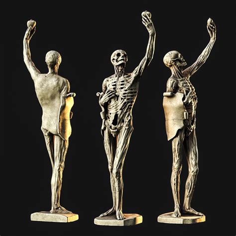 Free 3d Men Body Sculpture Model Sculptures