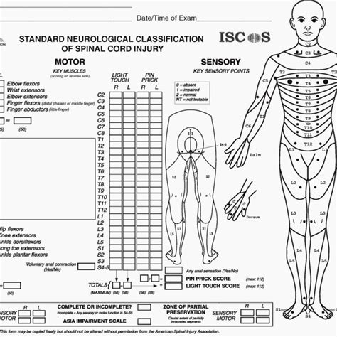 American Spinal Injury Association Asia Impairment Scale Ais