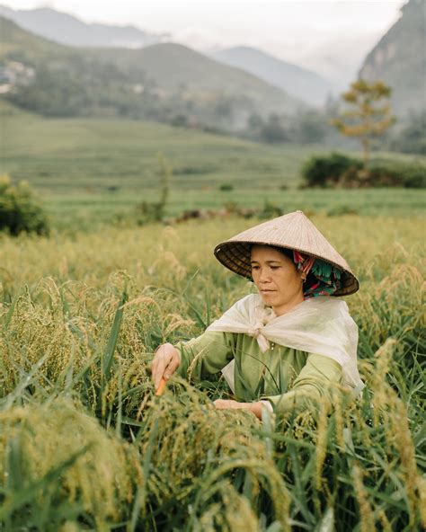 remarkable photos of one man s journey across northern vietnam my modern met